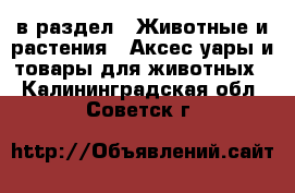  в раздел : Животные и растения » Аксесcуары и товары для животных . Калининградская обл.,Советск г.